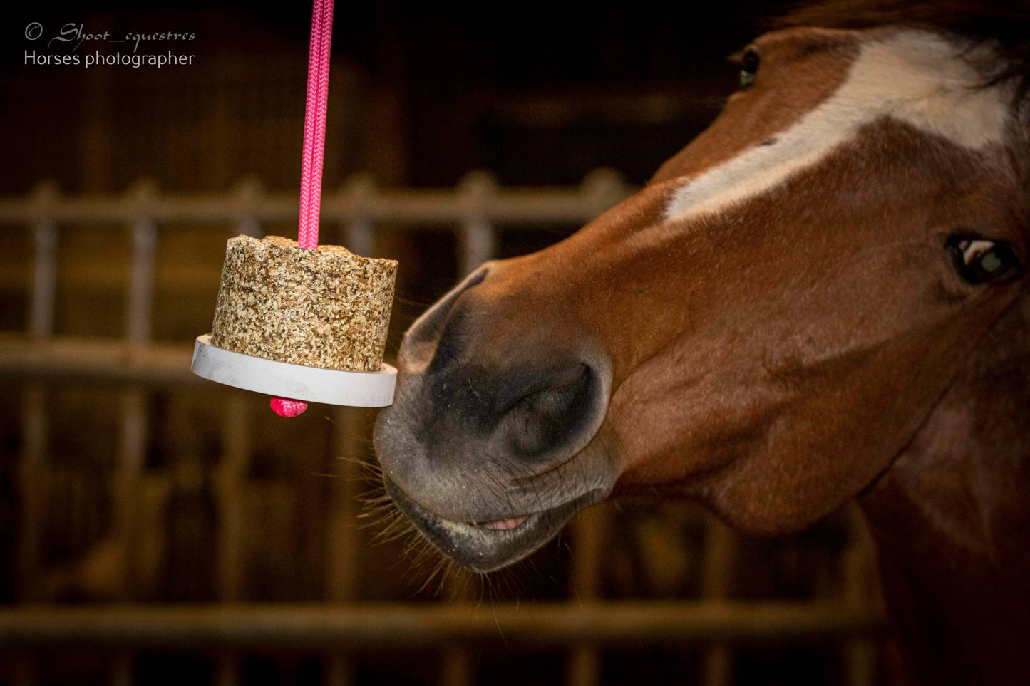 Happy Crackers Happy Wild Respi med Pebermynte & Rosmarin