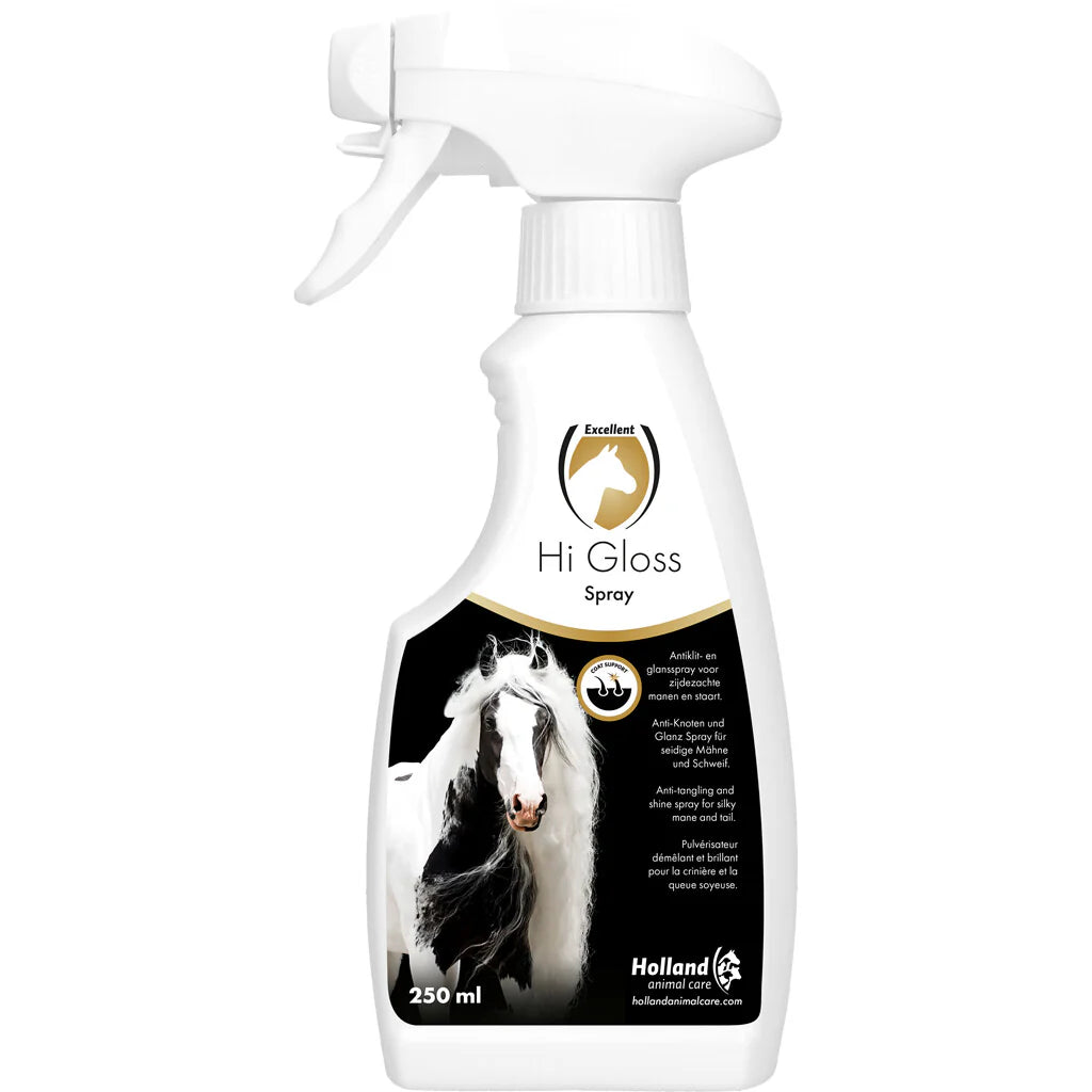 Excellent Hi Gloss Spray