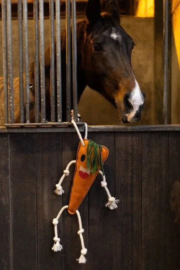Excellent Horse Foodie Friends hestelegetøj, gulerod