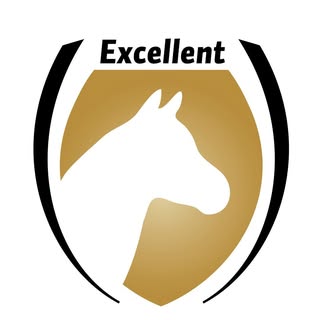 Excellent Horse