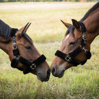 Audrey Grime med Fleece