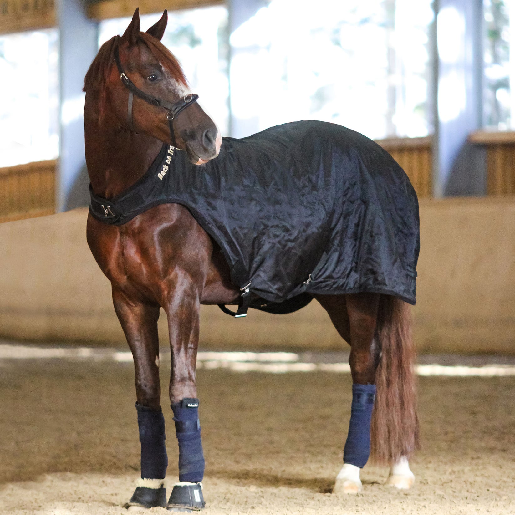Back on Track skridtmaskinedækken