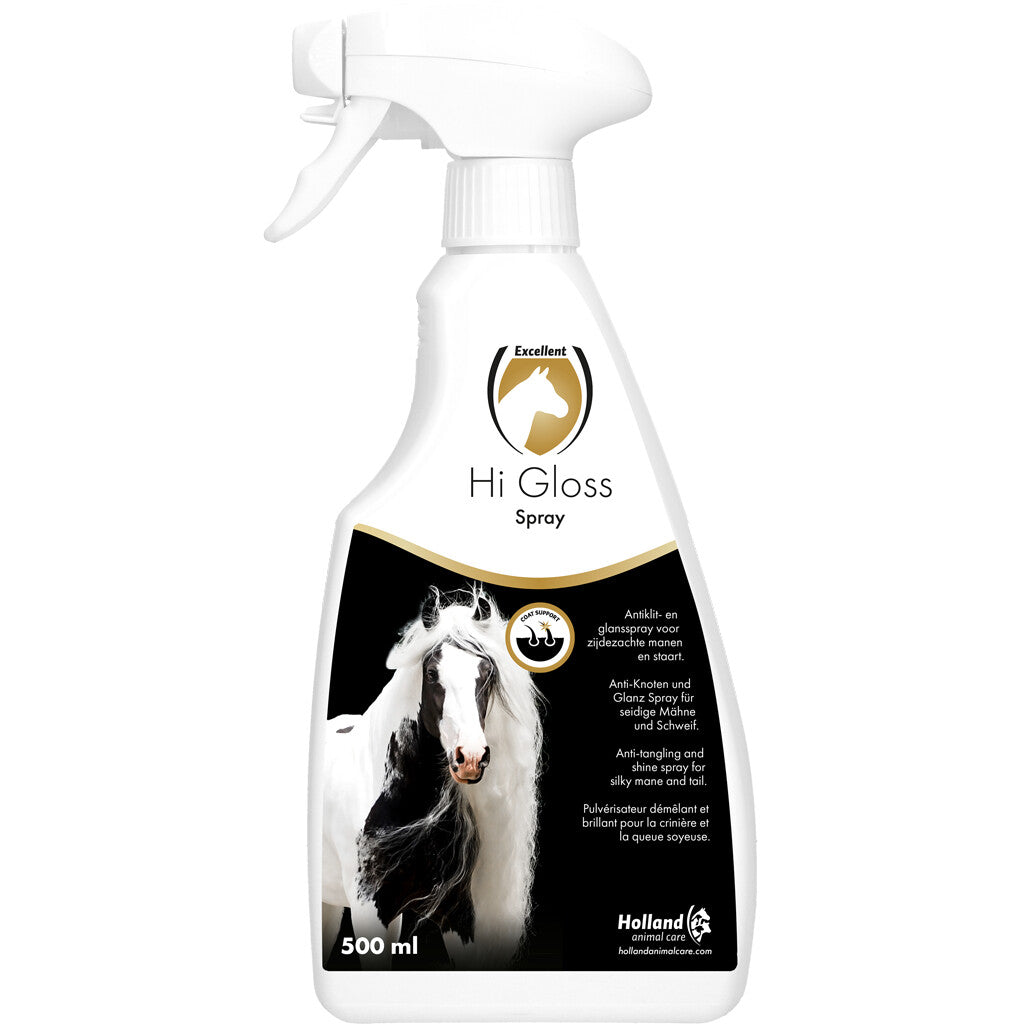 Excellent Hi Gloss Spray