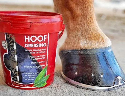 Kevin Bacon hovfedt