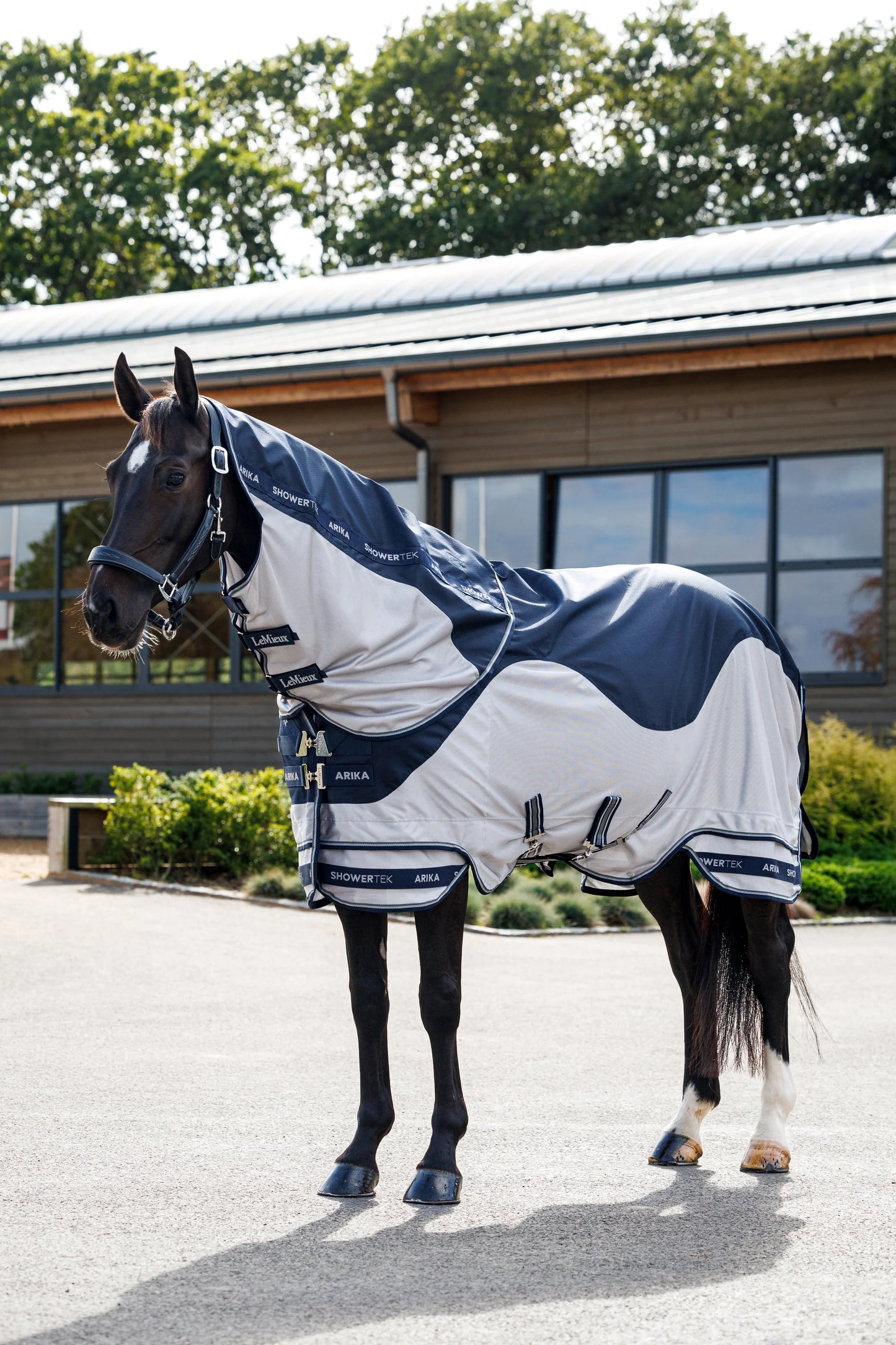 LeMieux Arika Shower-Tek Fly Rug