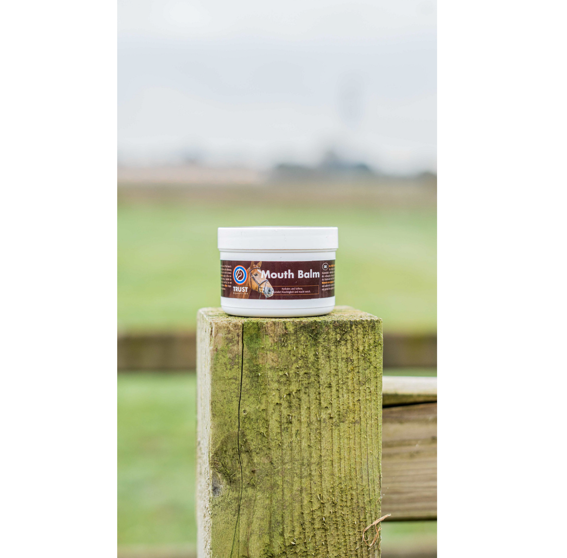 Trust Mouth Balm