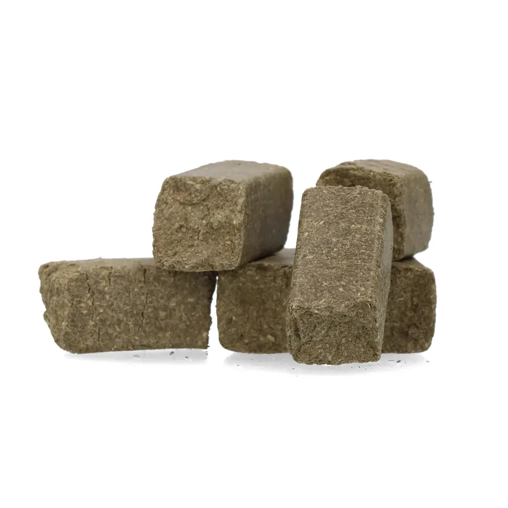 Excellent Horse Eukalyptus Godbidder