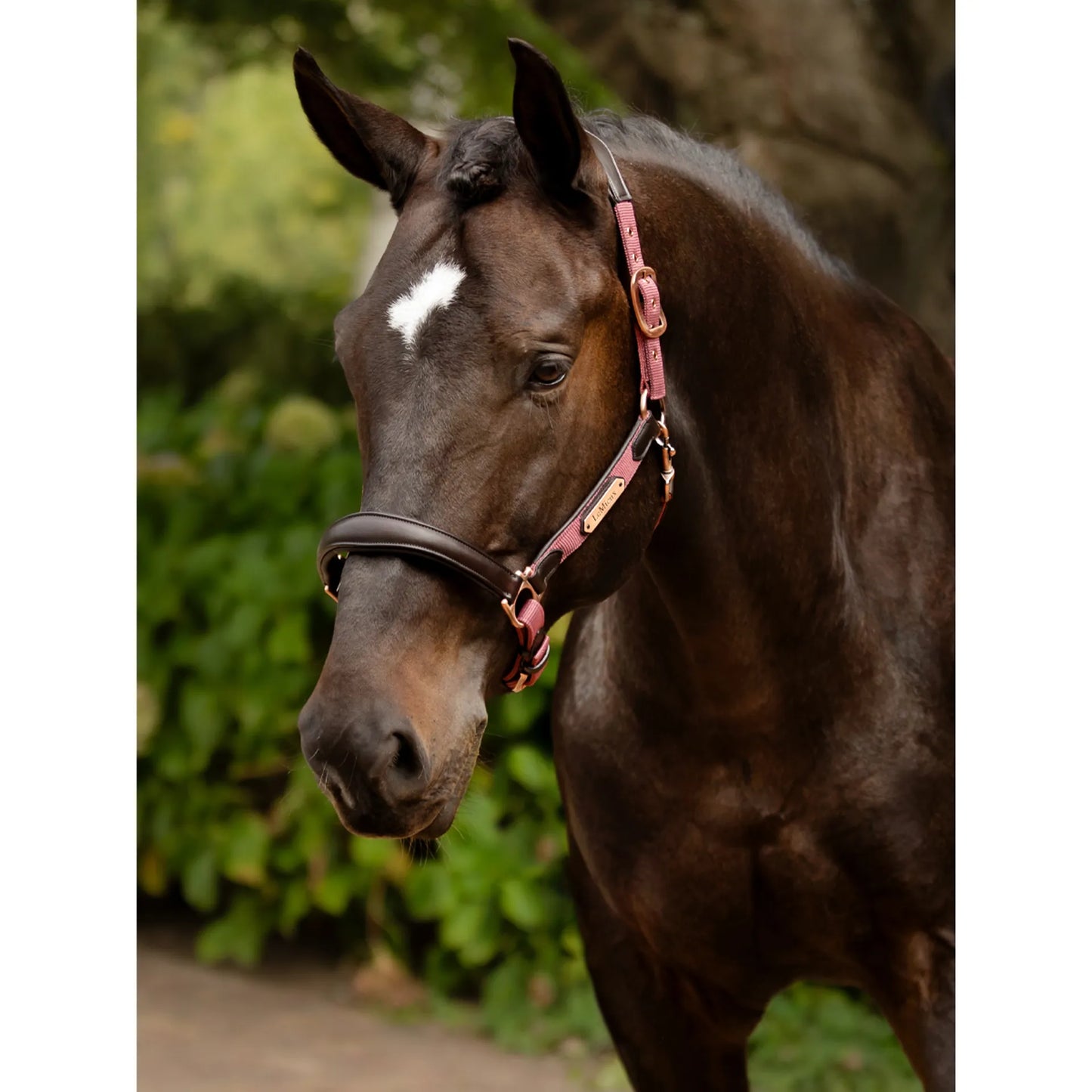 LeMieux Capella Grime Orchid