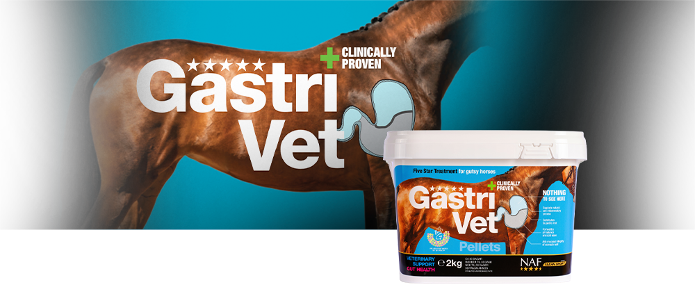 NAF Gastri Vet