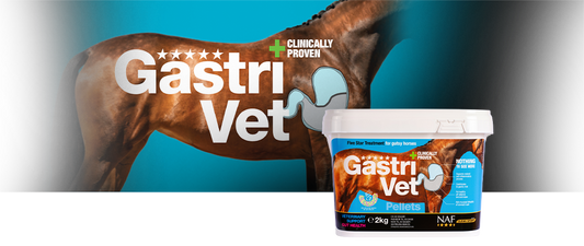 NAF Gastri Vet