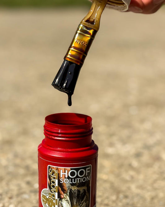 Kevin Bacon’S Hoof Solution – mod sur stråle