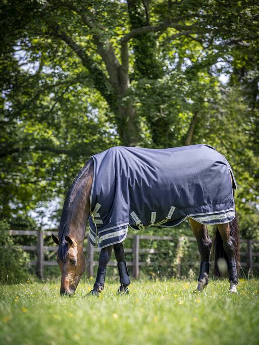 LeMieux Arika Featherweight Rug 0g
